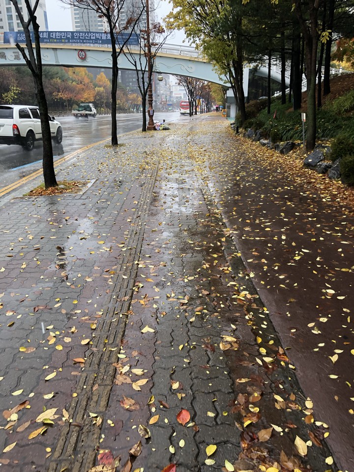 rain street