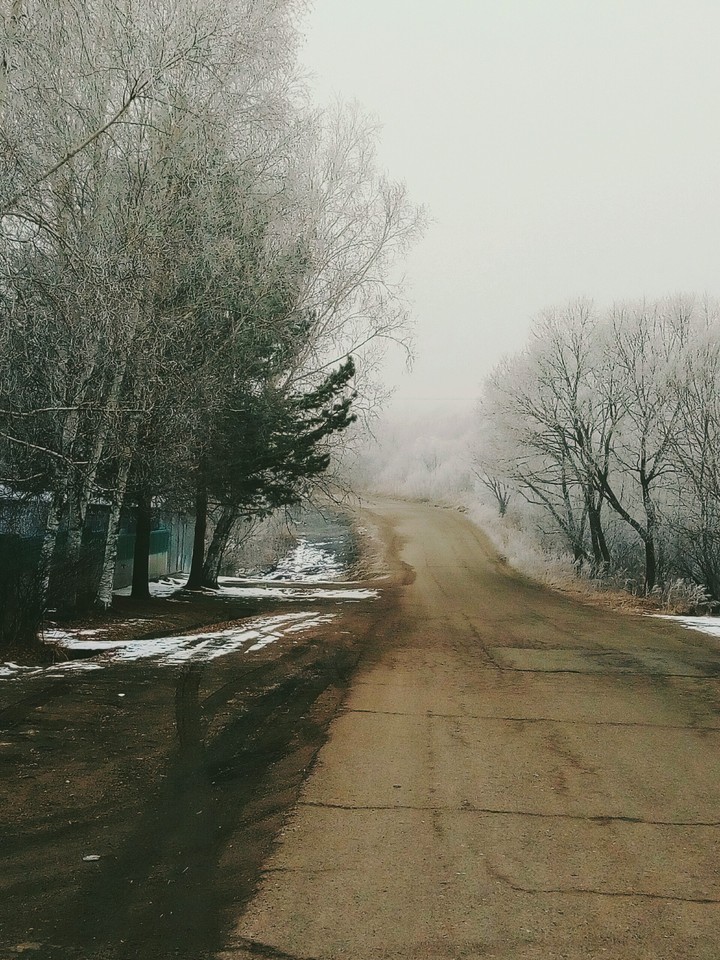 Туманное утро