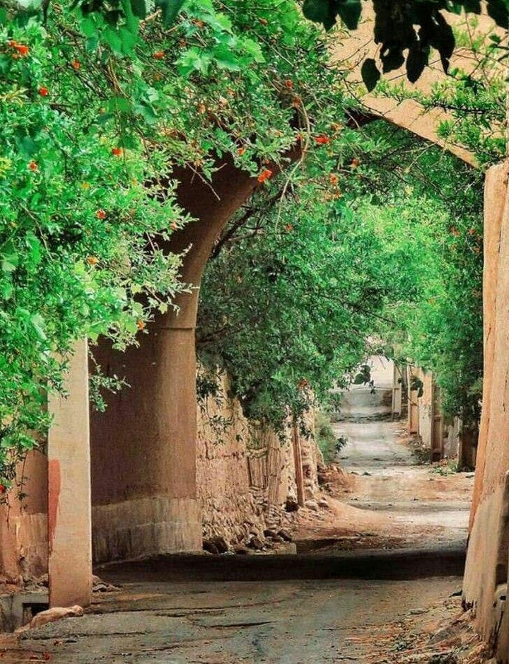 درخت