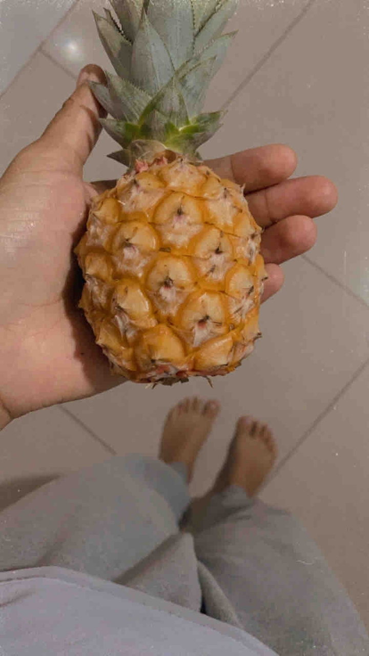mini abacaxi