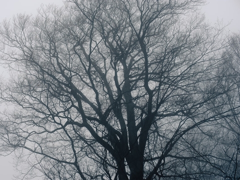 sky, grey वॉलपेपर