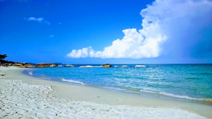 Sea