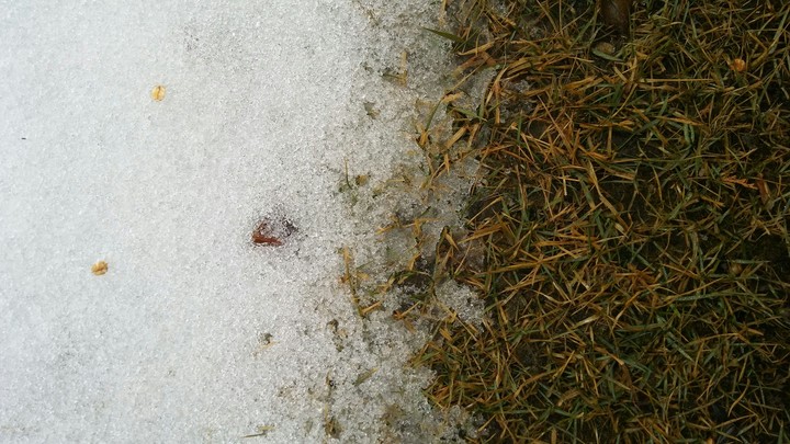 winter
