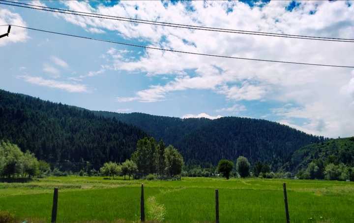 Kashmir!!