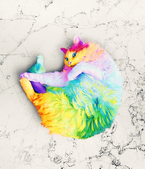 Радужного кота, в студию!!!
