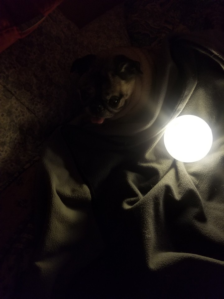 Night Light