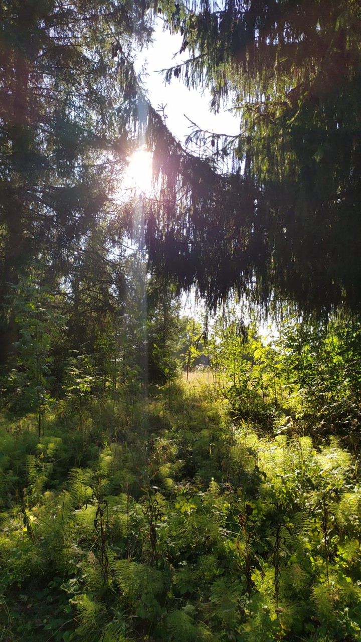 nature
