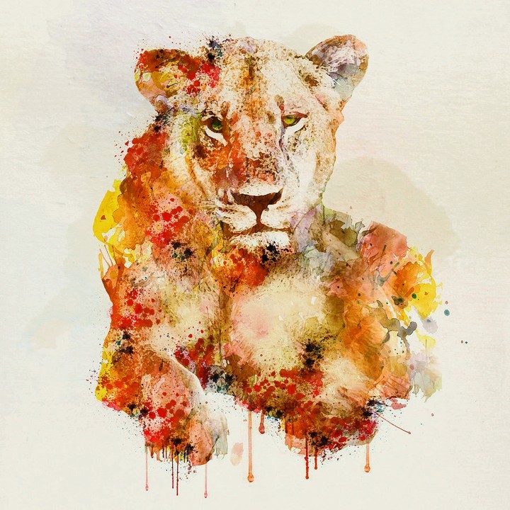abstract lioness