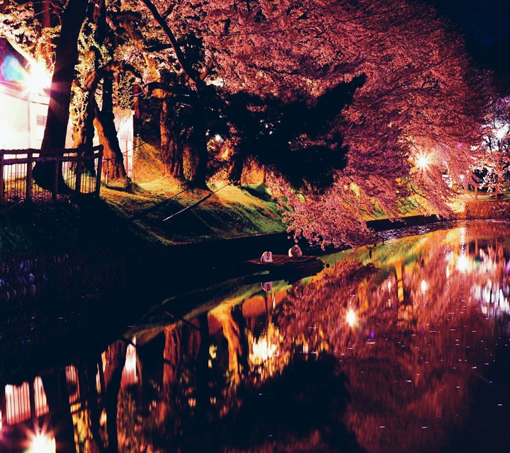 Sogno di una notte di mezza estate