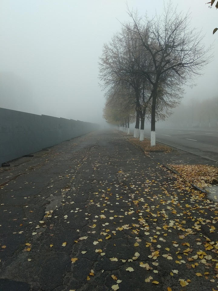 fog