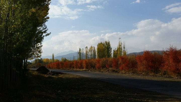 RED FALL