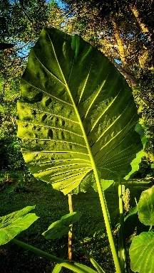 ☀️