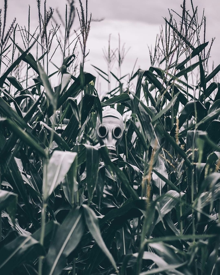 Stalked