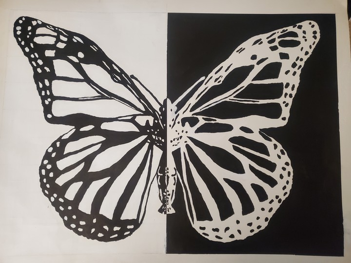 Butterfly