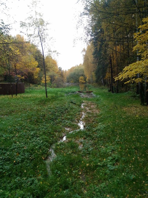 autumn