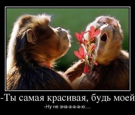 : )
