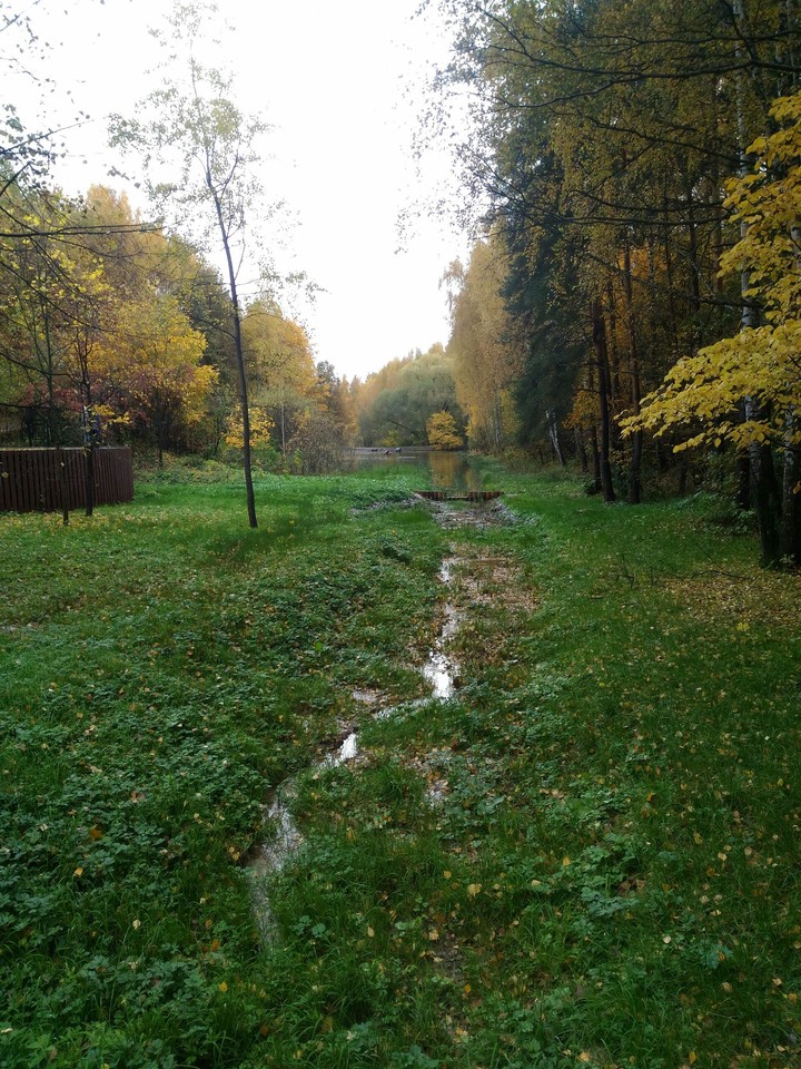 autumn