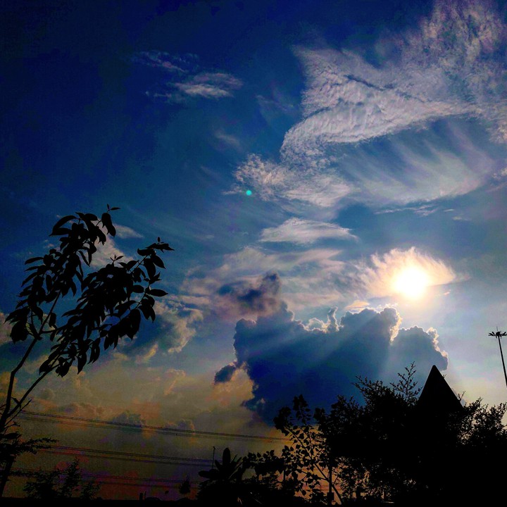 Sun - the shade of bronze