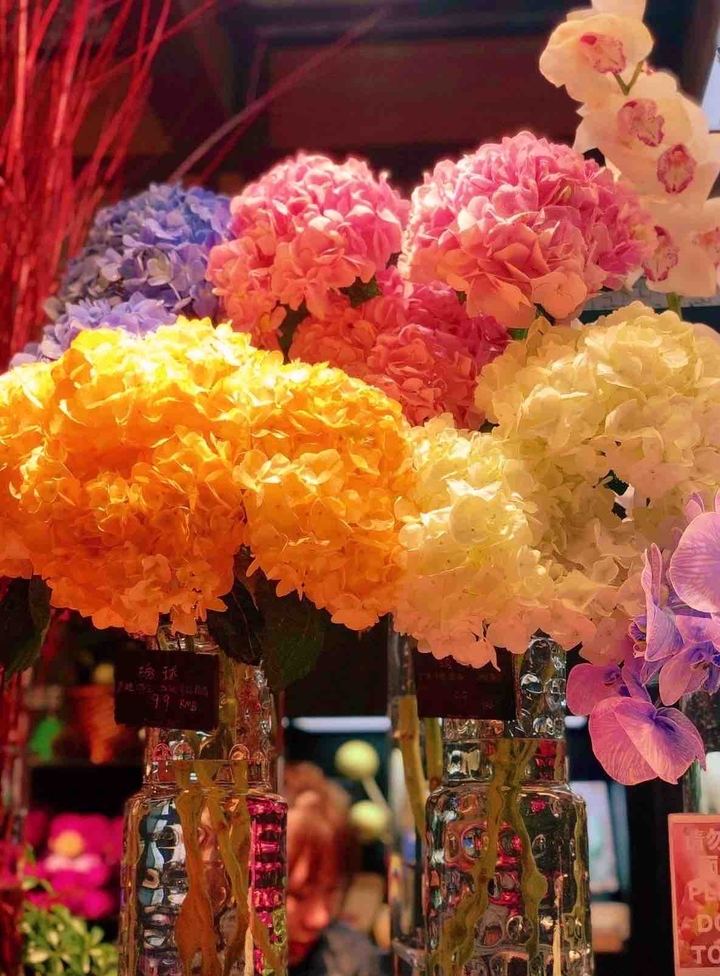 color of hydrangea