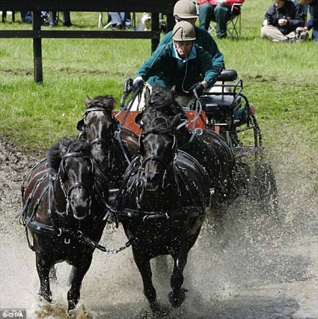 Horses