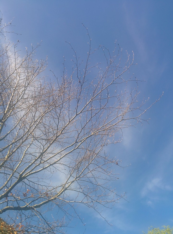 Cielo de primavera
