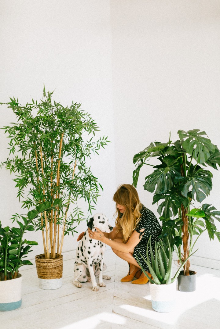 photo of women holding a dog
