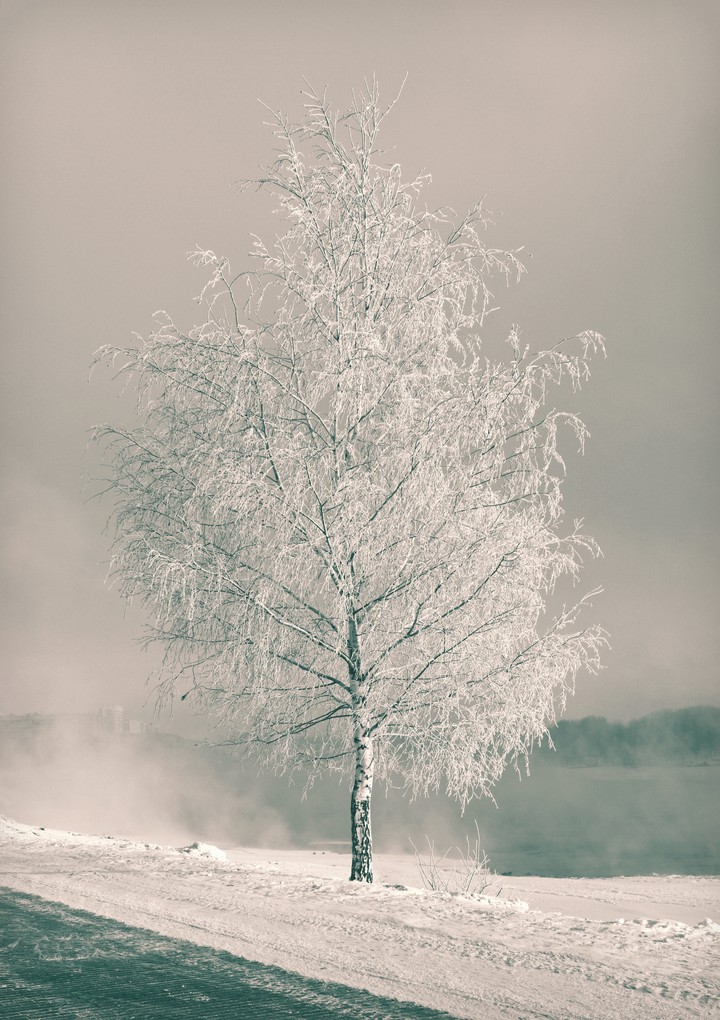 Kolomenskoe in White