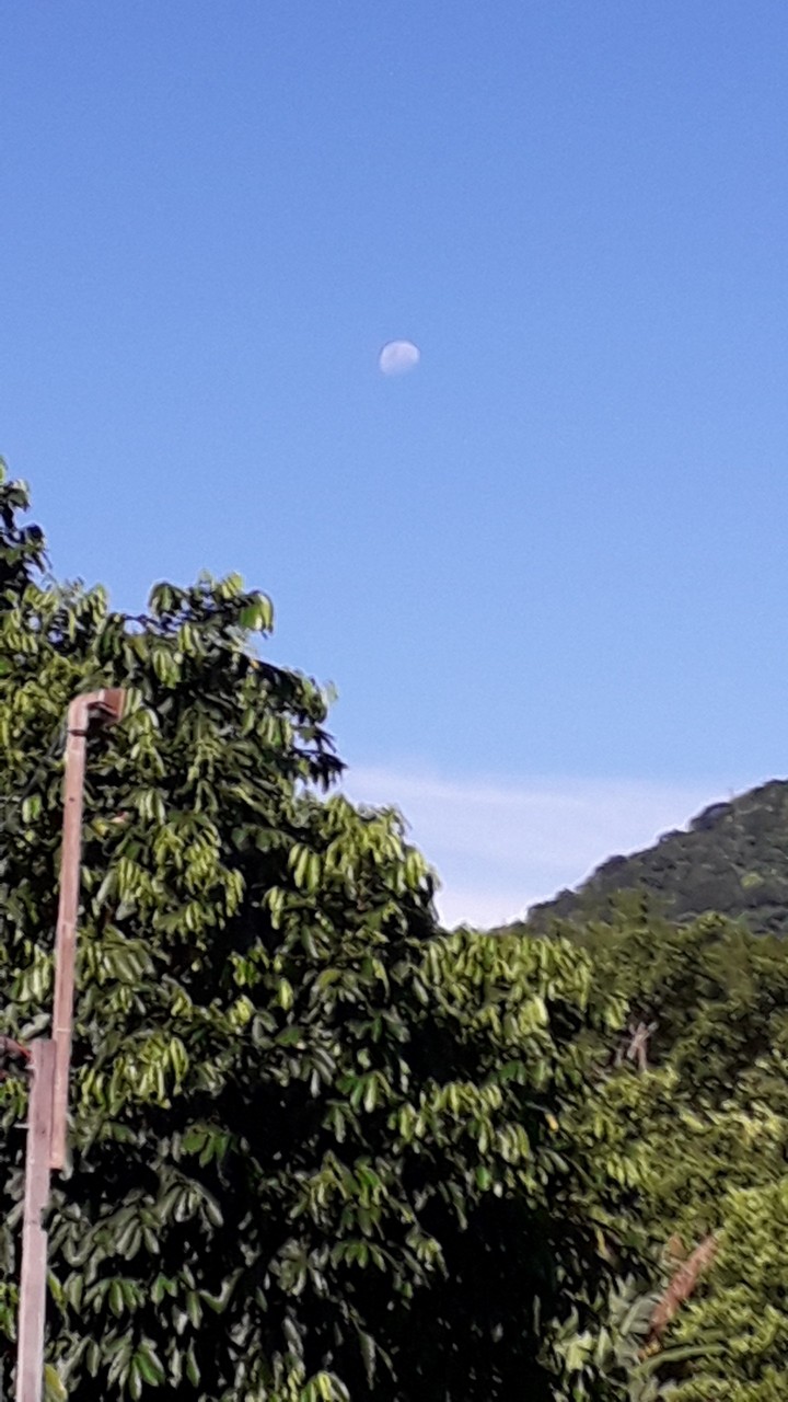 Lua