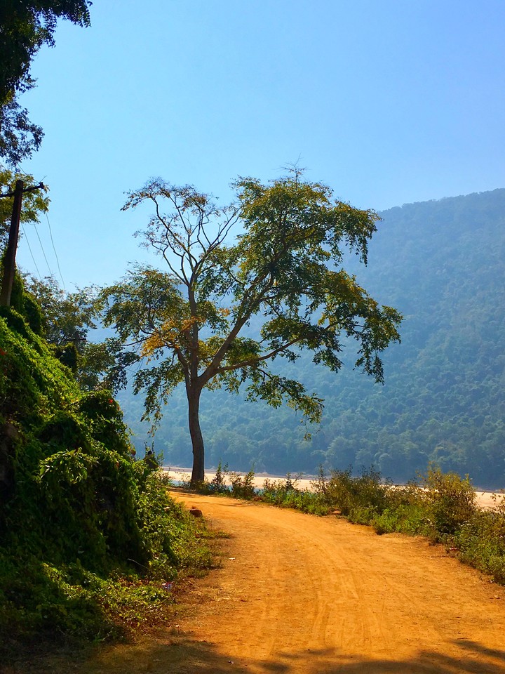 Road to Nature