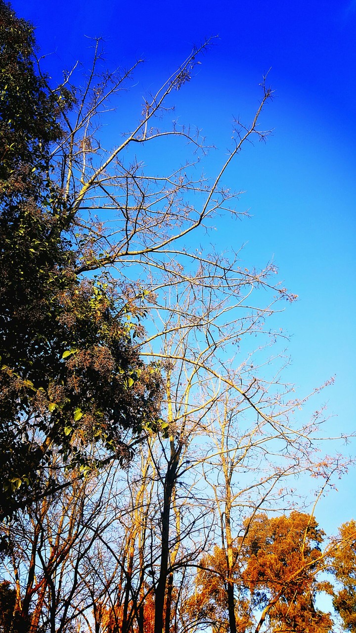 Nature day