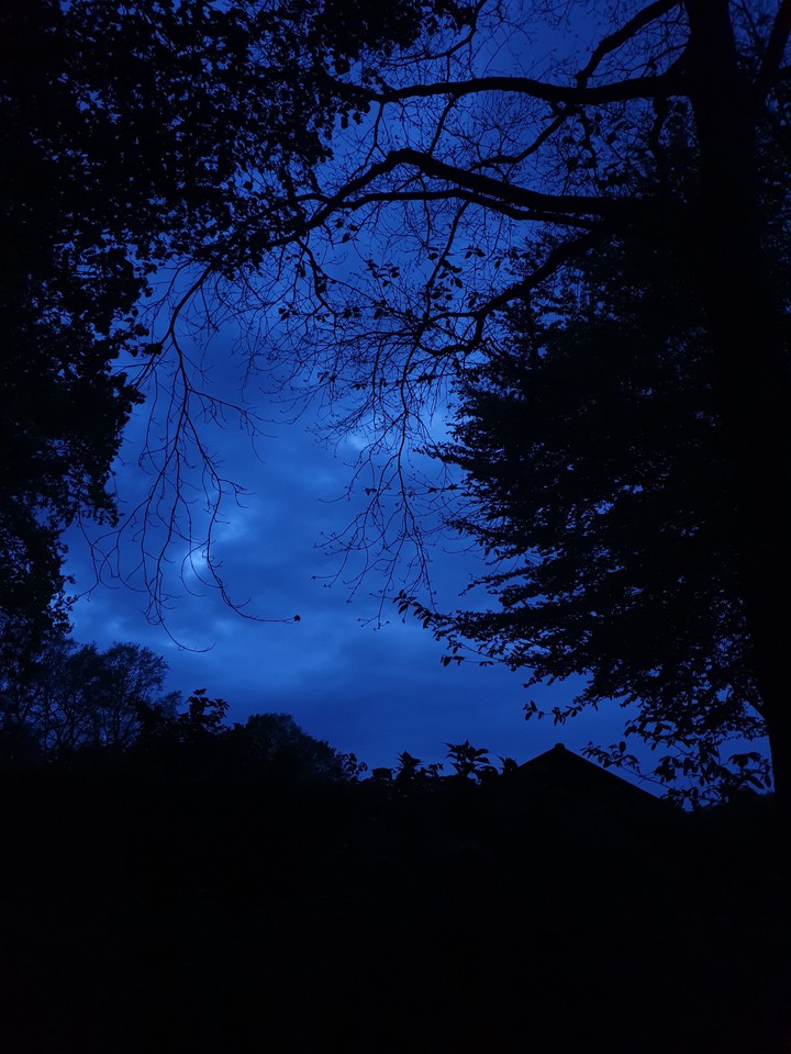 blue summer night