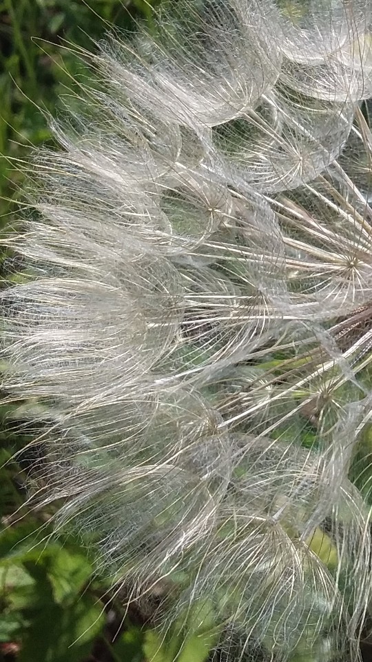 природа