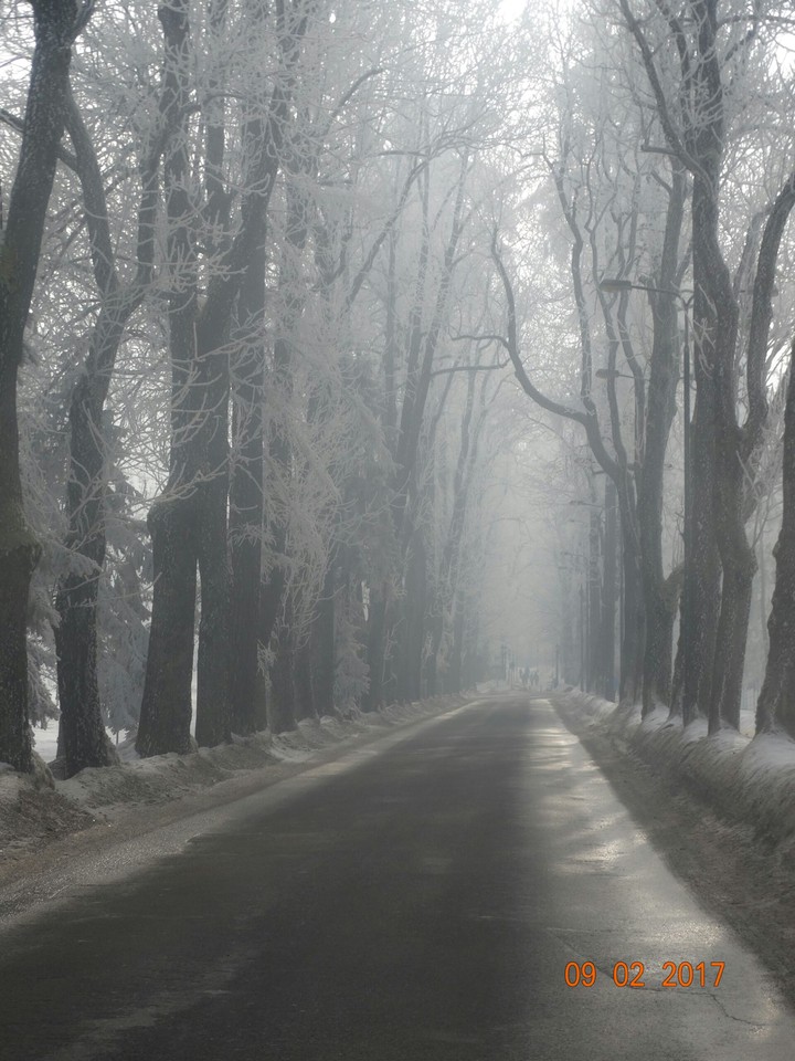Road