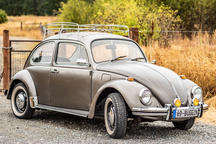 vw bug