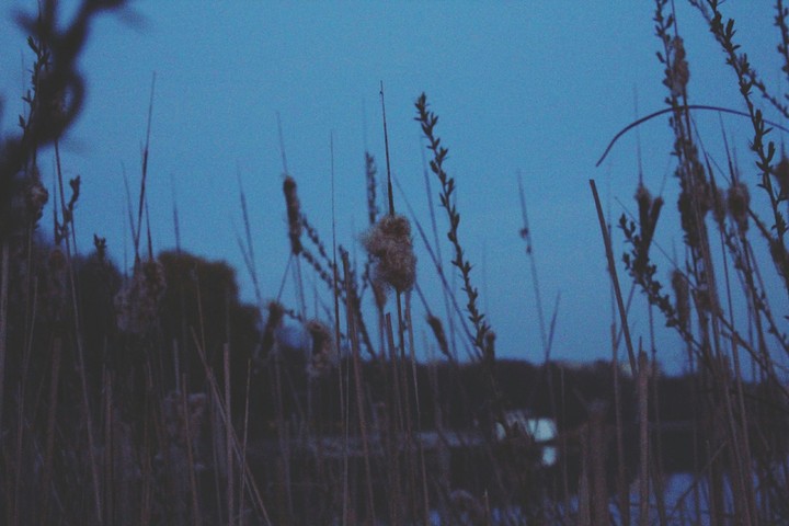 Lake and sky