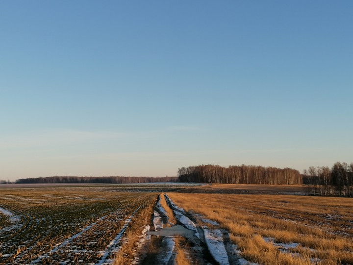 field