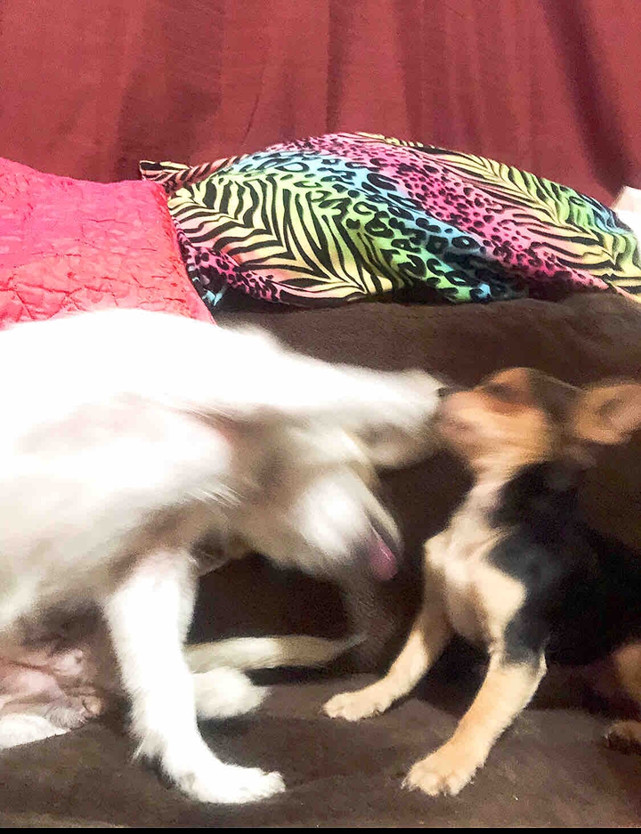 ending the date, Tammy shows poncho the time