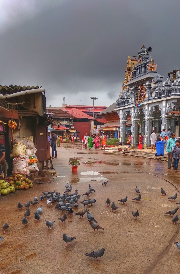 vasudhaiva kutumbakam
