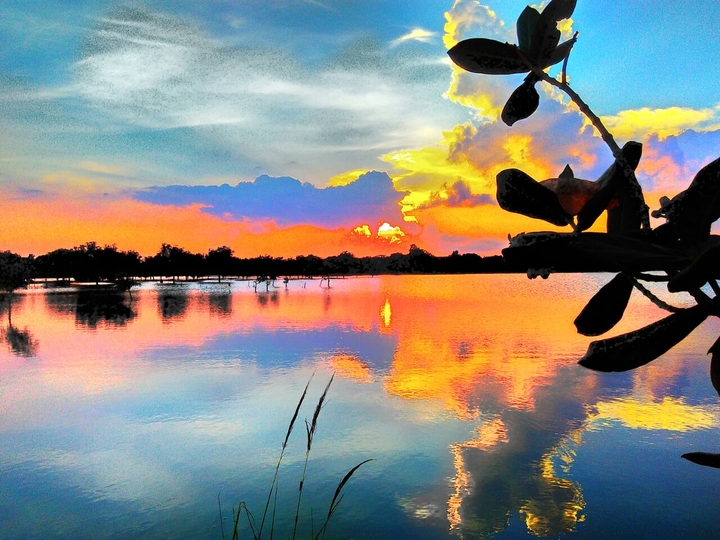 Sun Set