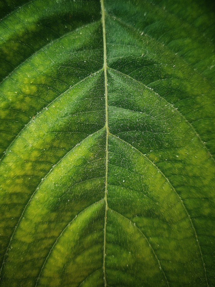 Beauty of small things