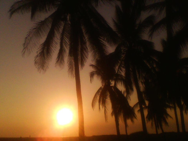 Paradise