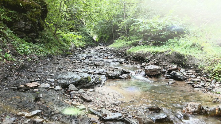 Hrenovica - Bosnia & Herzegovina