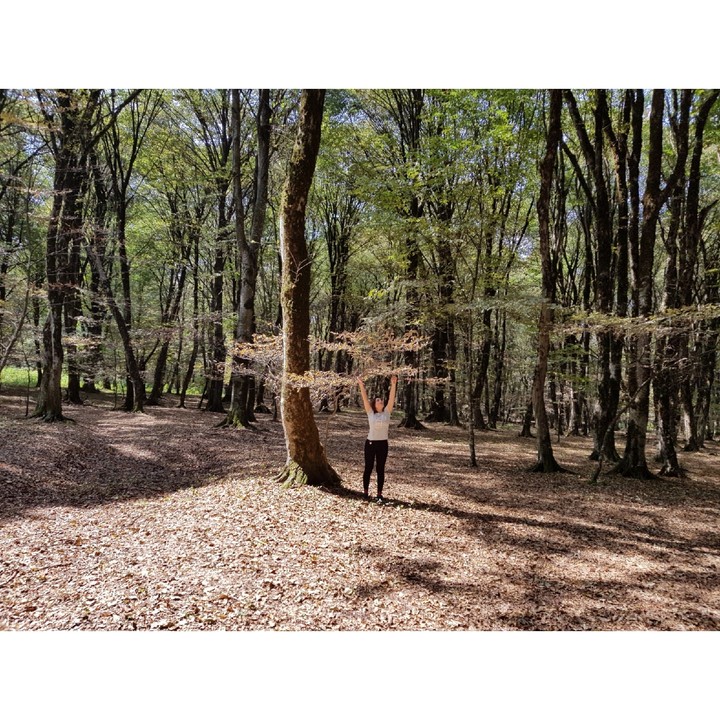forest