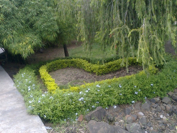 Creativity  love