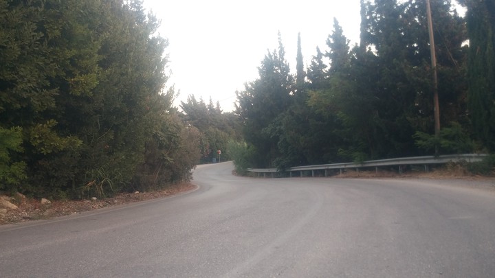 Ağaçlı Yol
