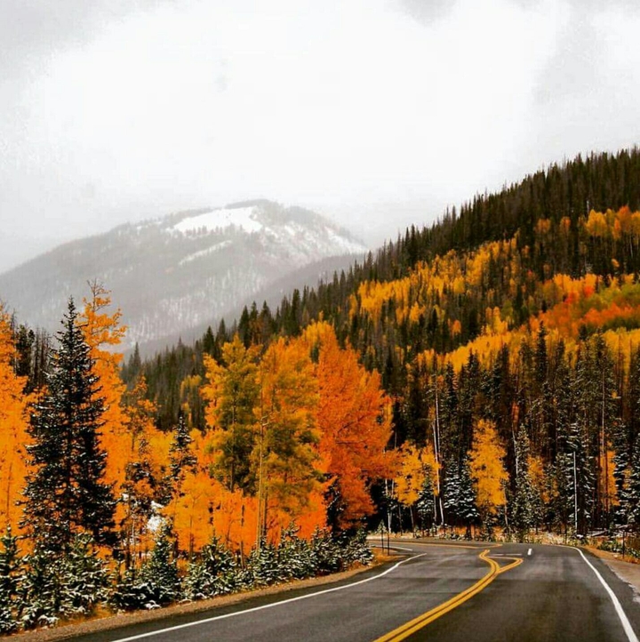 Fall in Colorado