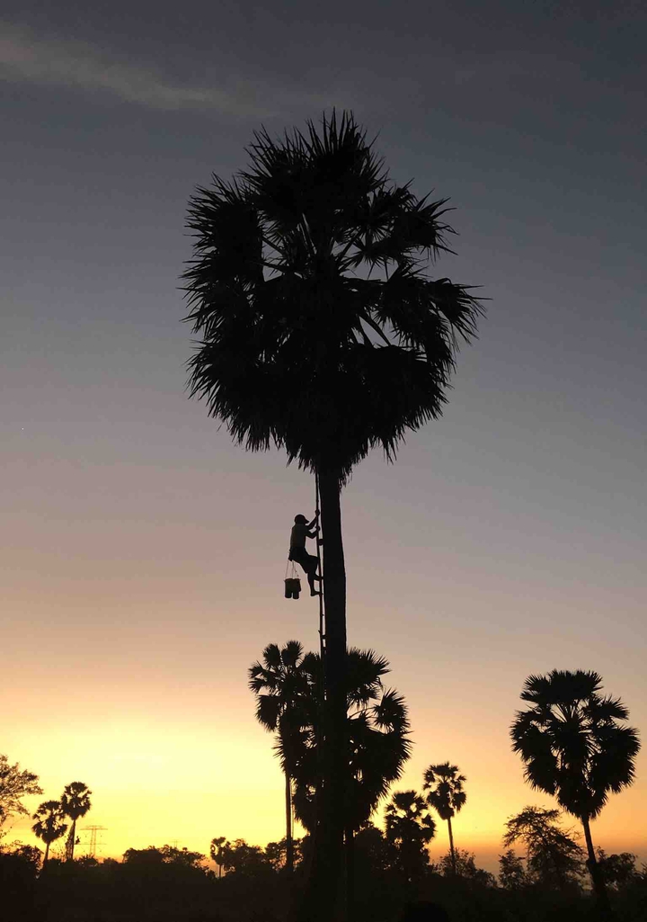 Sun Set