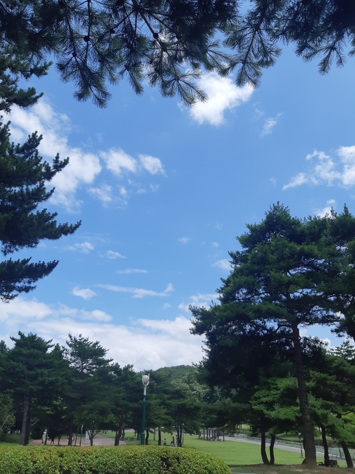 Ulsan sky