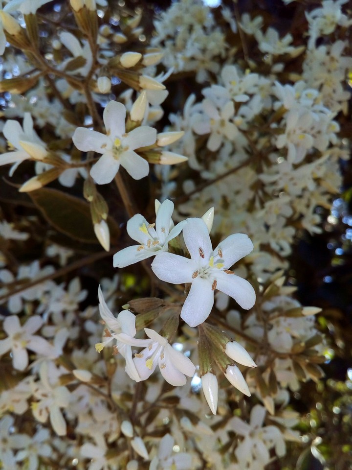 beauty of nature