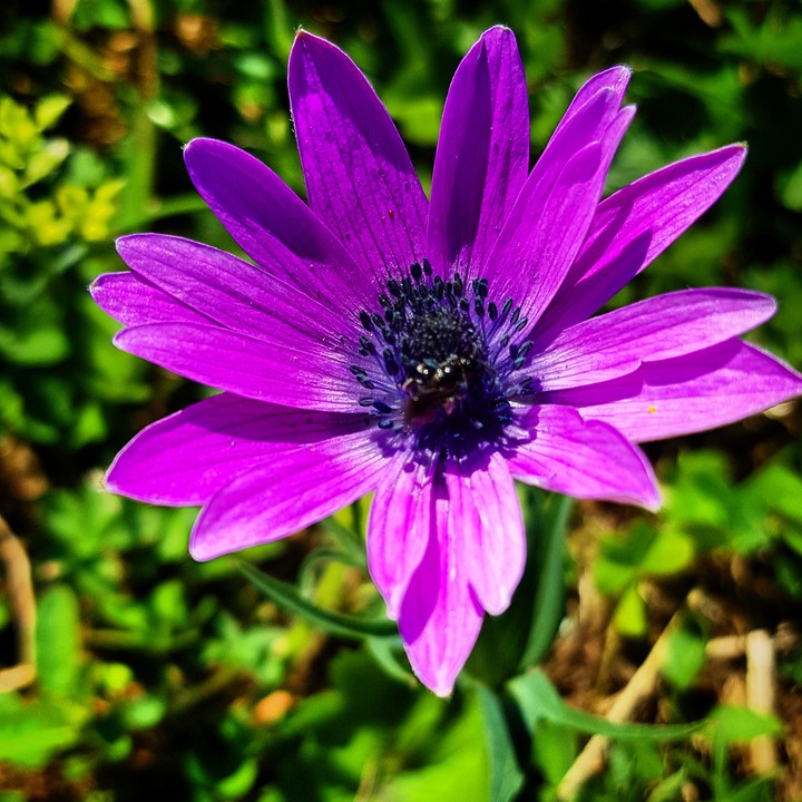 nature